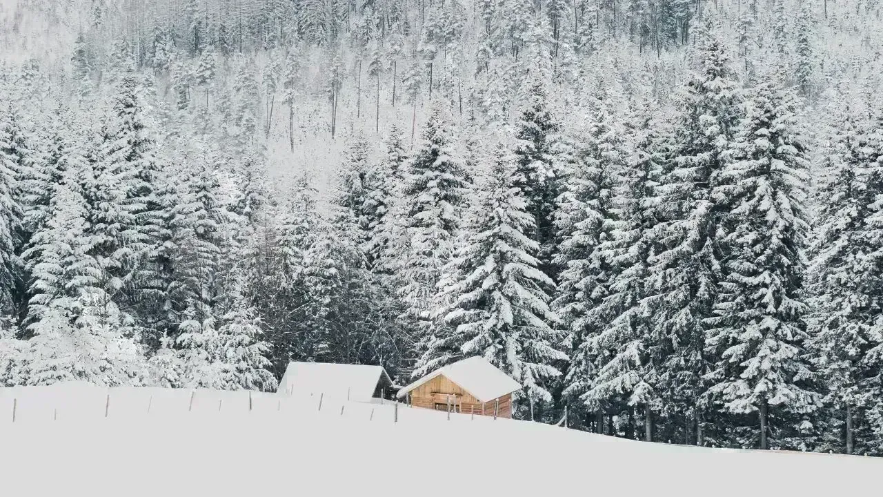 Challenges Persist for Ottawa's Watersheds Despite Rainfall Relief