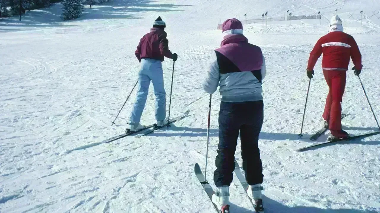 Severe Winter Weather Hits Alberta with Heavy Snow and Winds