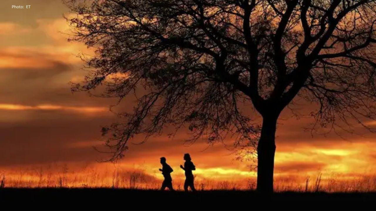 2025 Set to Become One of the Hottest Years Ever, Scientists Warn