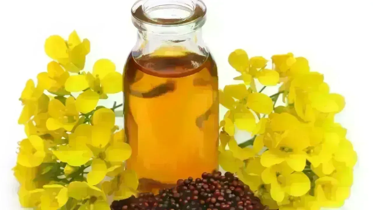 Harness the Power of Mustard Oil for Healthier Hair