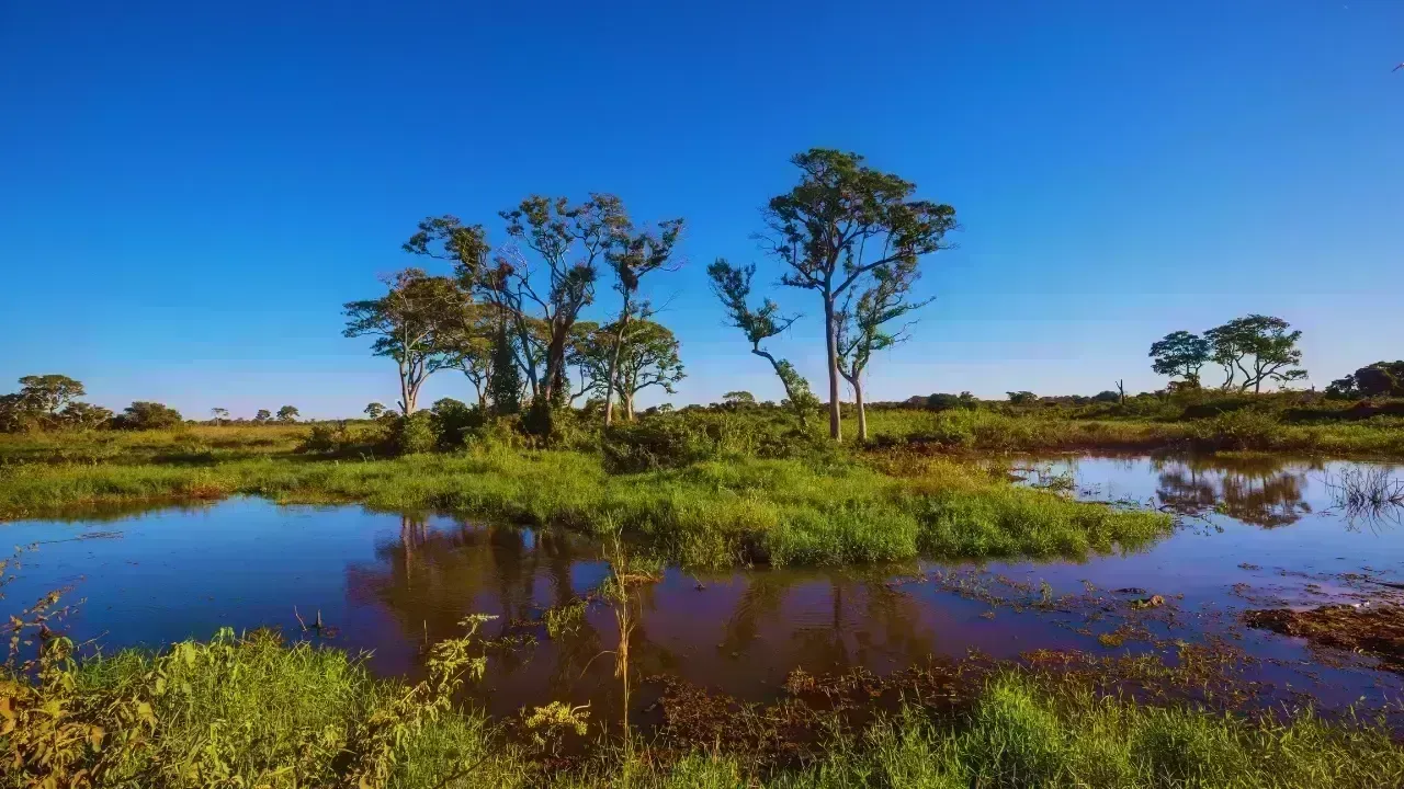 India's Hidden Eco-Destinations: The Next Wave in Sustainable Travel