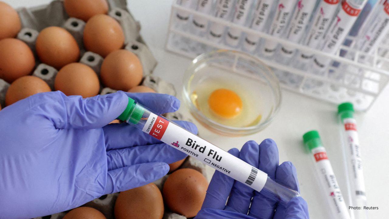 US Senators Urge Fast Action on Bird Flu Vaccine as Outbreak Worsens