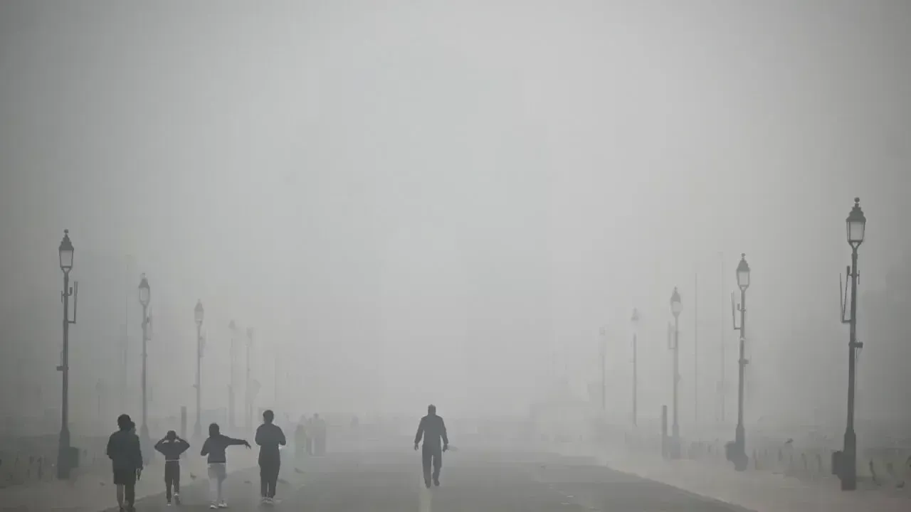 Delhi's Smog Dilemma: Unpacking the Environmental Crisis and Resident Adaptation