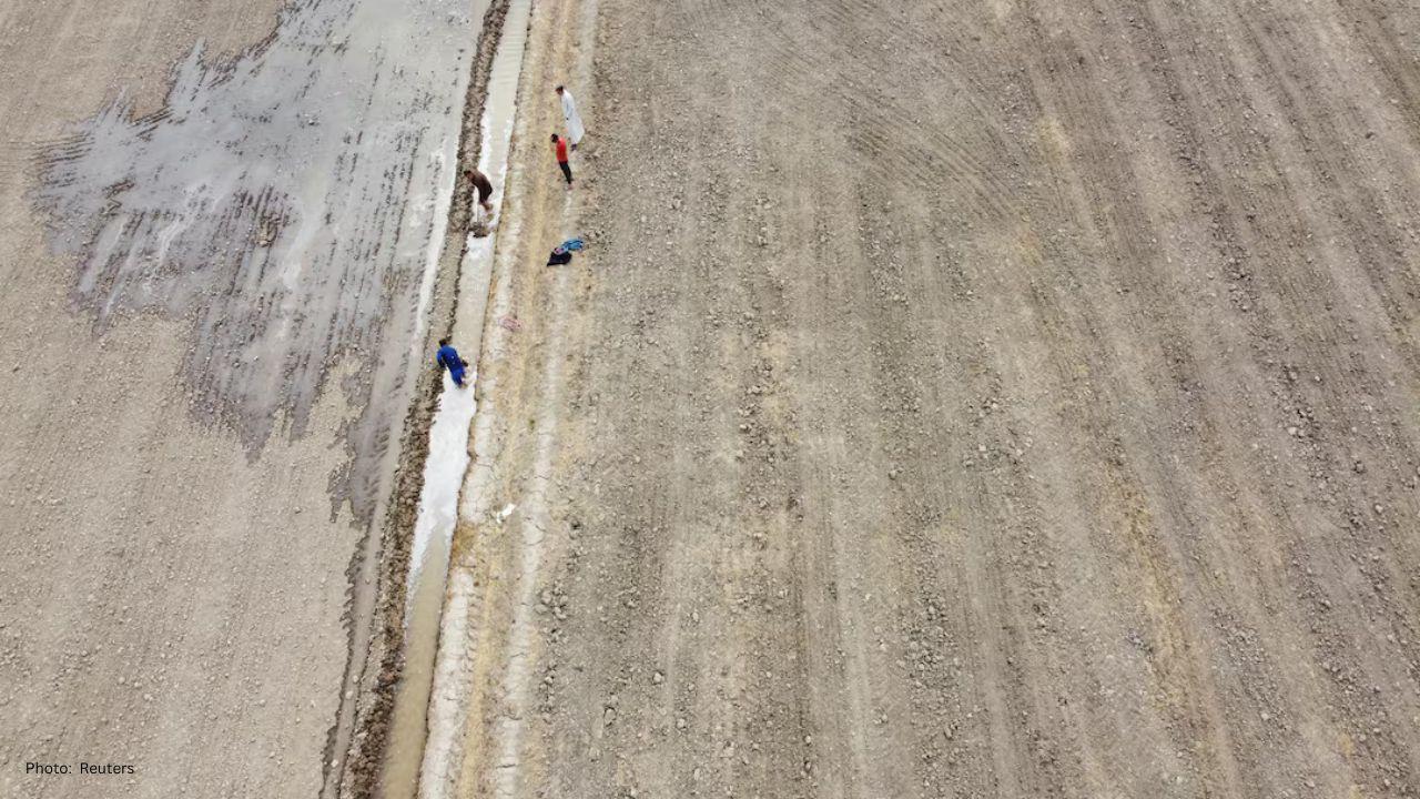 Water Crisis Shatters Iraq’s Dream of Wheat Self-Sufficiency