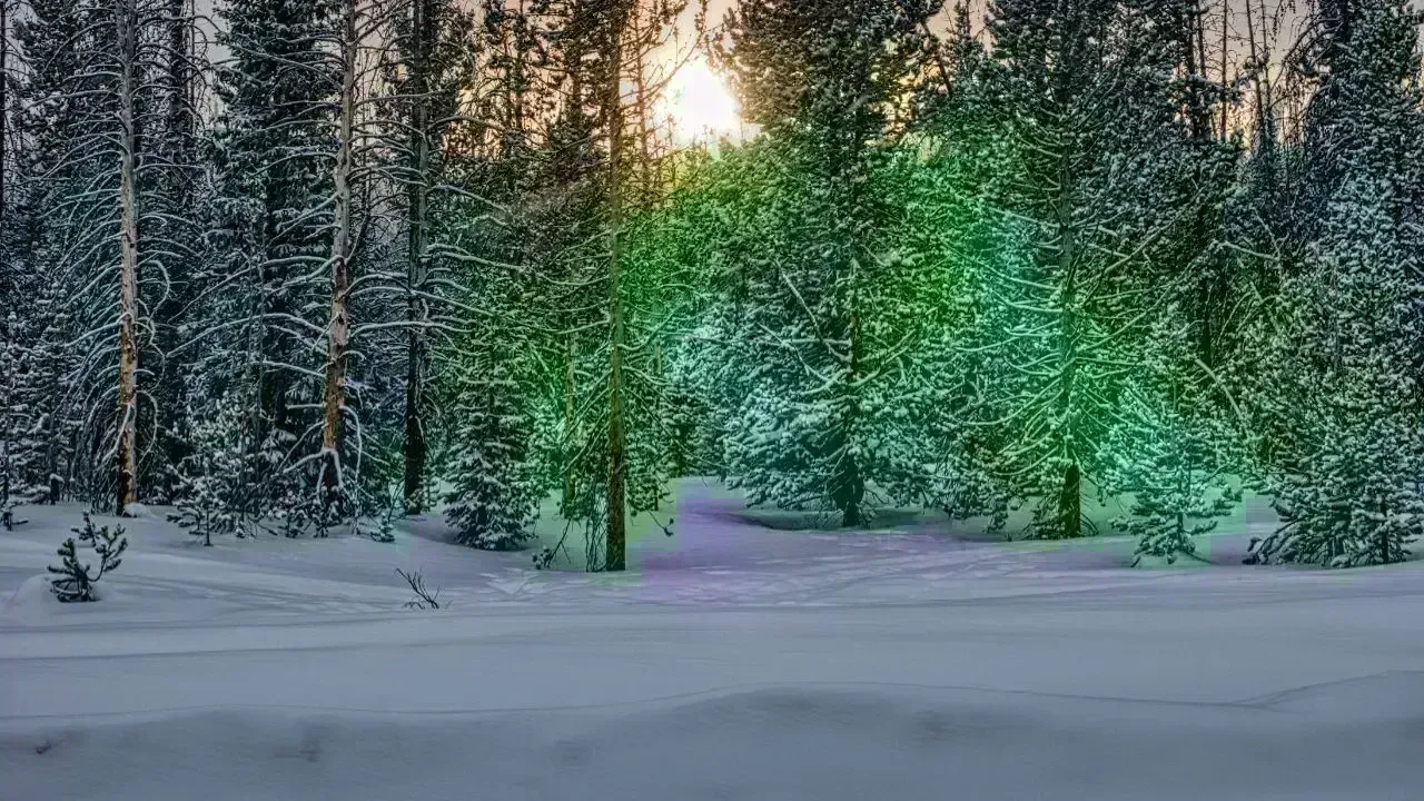 Severe Blizzard Affects Nova Scotia: Travel Disruptions Abound