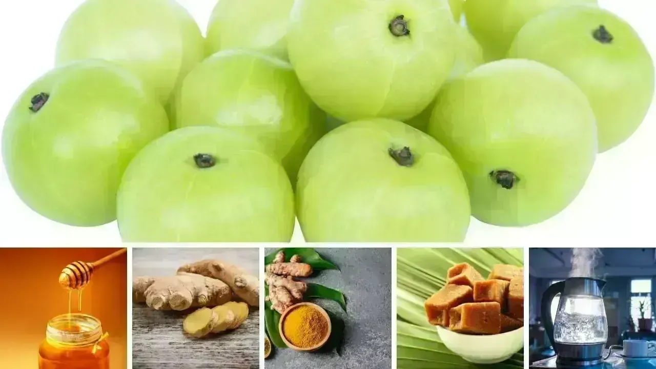 Top 5 Combinations with Amla for Winter Wellness