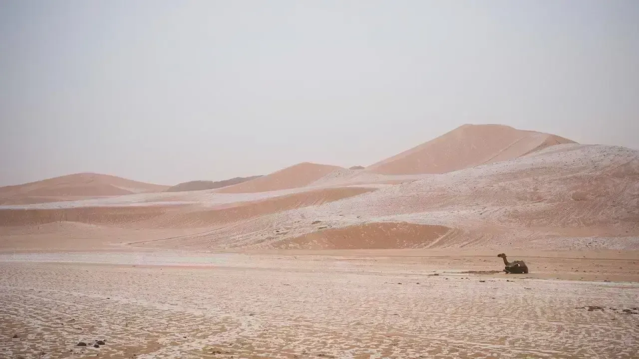 Snowfall Graces Northern Saudi Arabia After Three Decades