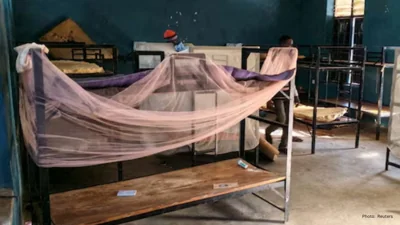 Last Group of Freed Nigerian Schoolchildren Set to Reunite With Families