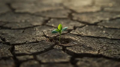 The Hidden Impact of Small Environmental Efforts on Climate Progress