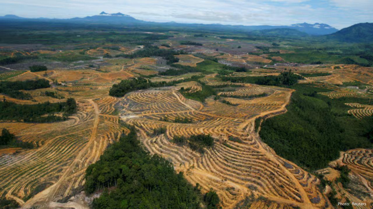 Indonesia Moves to Fine Palm Oil Growers and Miners $8.5 Billion for Forest Encroachment