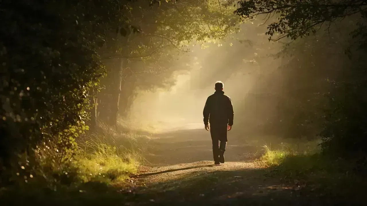 Unveiling the Hidden Dangers of Low Physical Activity