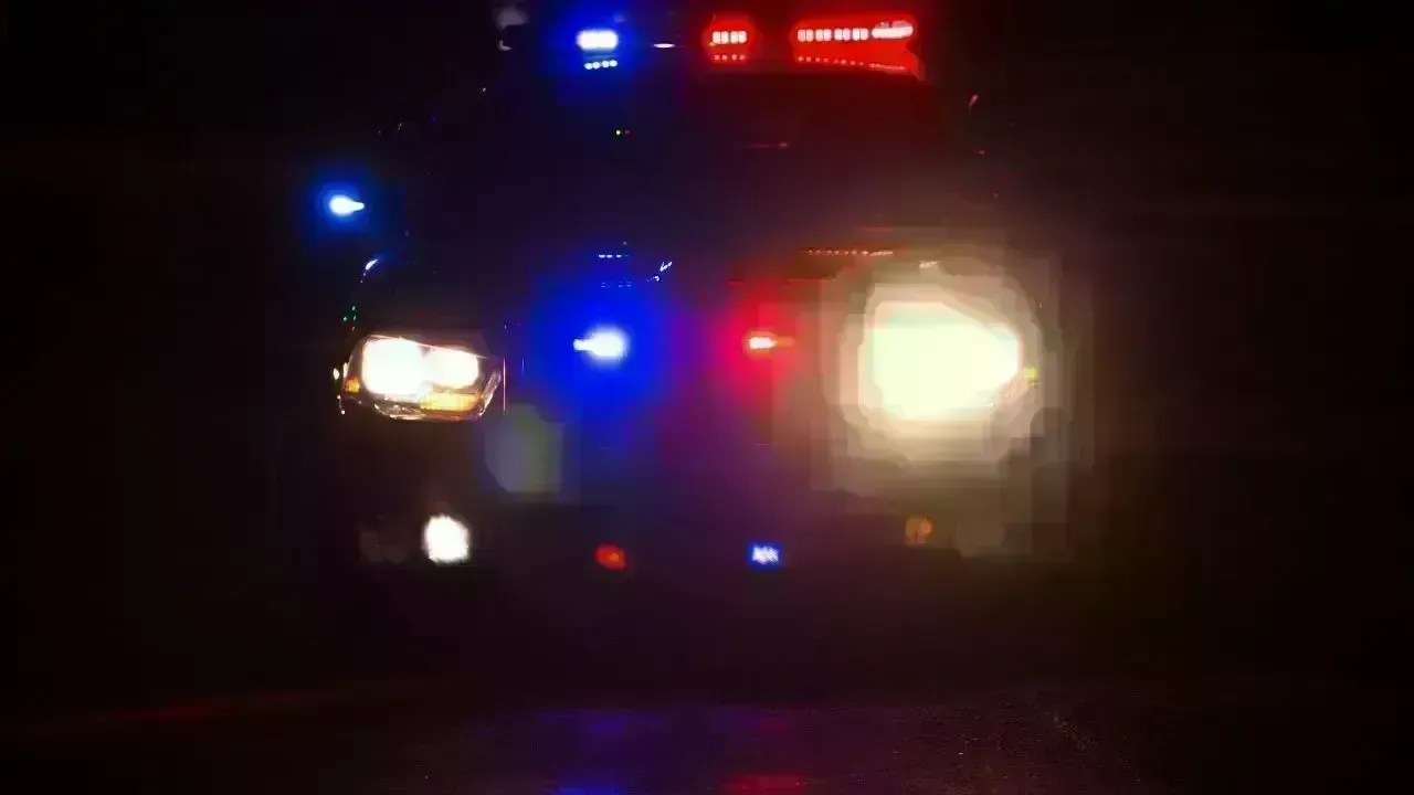 Delhi Police's Vigilant Sweep Nets Over 660 Arrests Before New Year