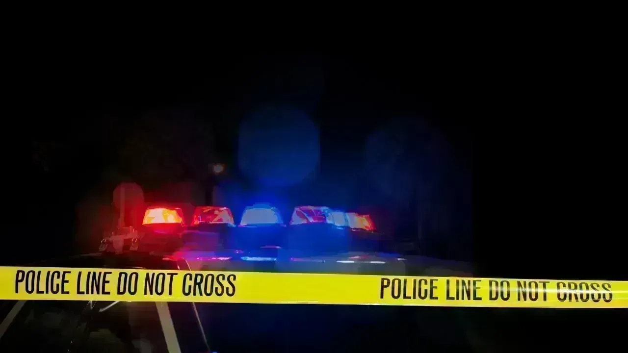 Telangana Women Tragically Killed in California Car Accident, Families Request Assistance