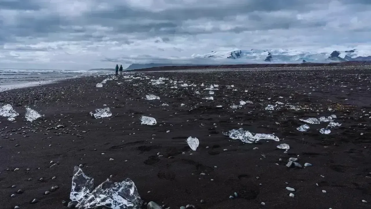 Understanding Winter's Weather Hazards: Fog, Frost, and Black Ice