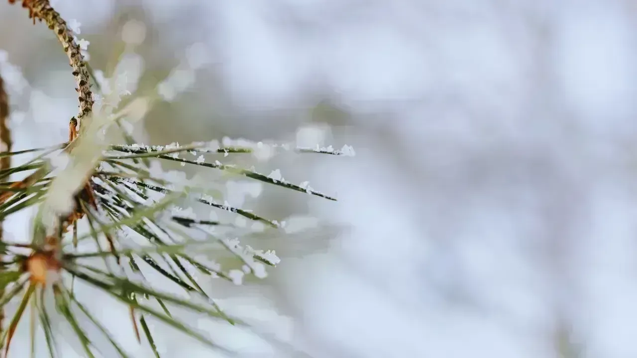 The Science of Winter: Unraveling Earth's Coldest Season