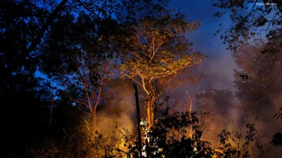 Brazil’s Soy Traders May Abandon Amazon Protection Pact Over Tax Changes