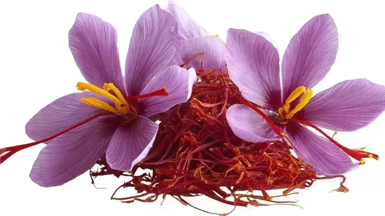 5 Essential Health Benefits of Saffron (Kesar) You Should Not Miss