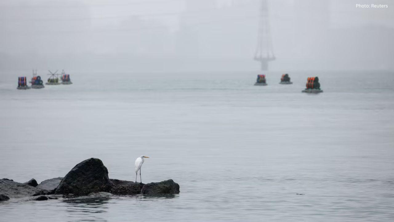 Taiwan Vows Strong Defense After China Fires Rockets in Military Drills