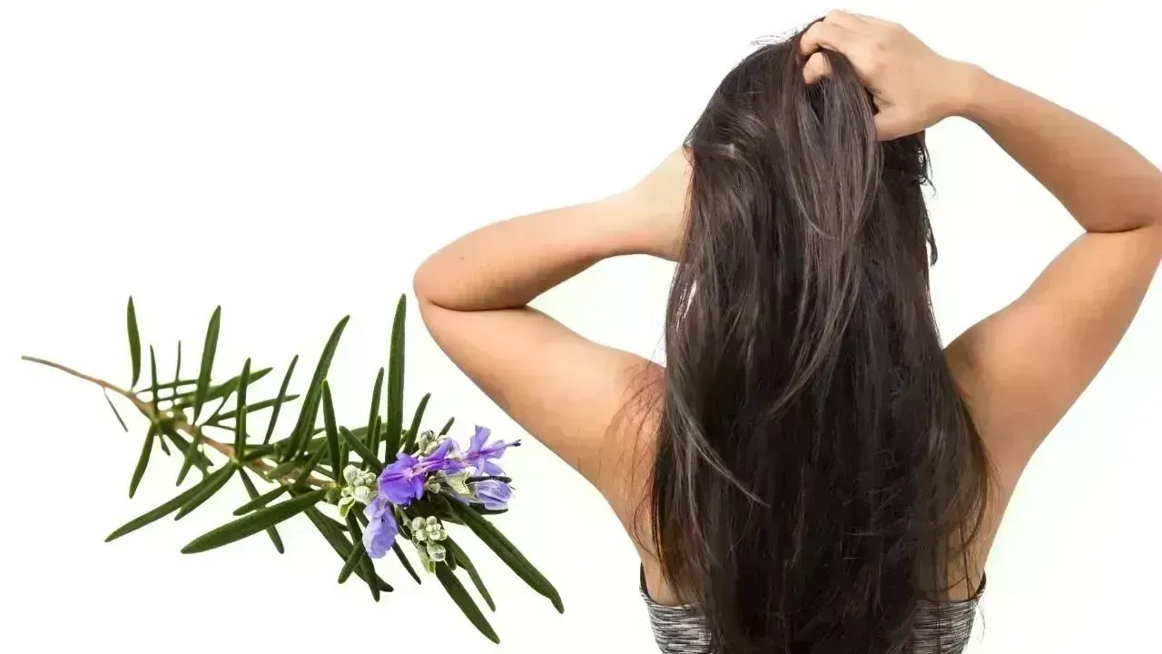 Innovative Hair Growth Solutions: Rosemary Oil and Scalp Scrubs