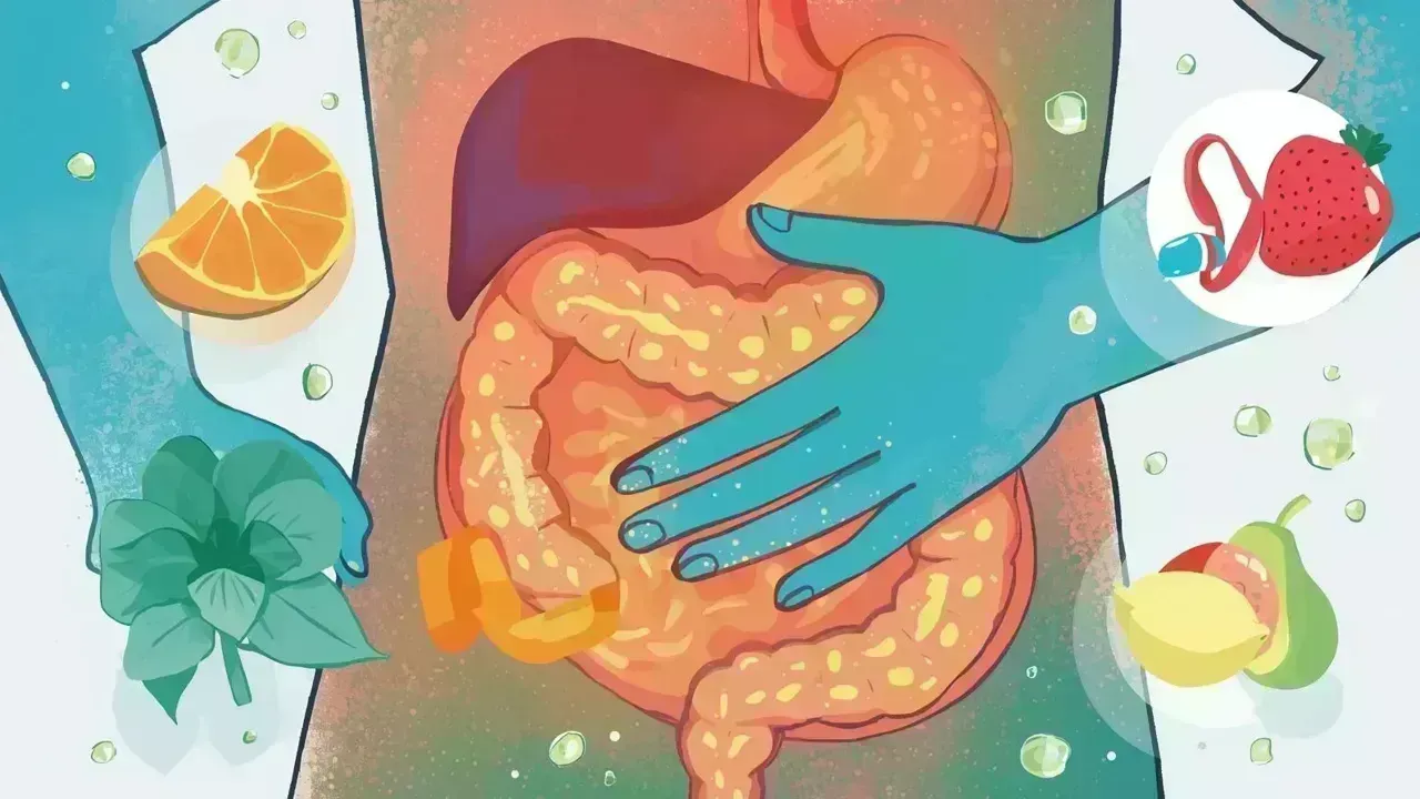 Understanding Digestive Issues and Strategies for Gut Health Enhancement