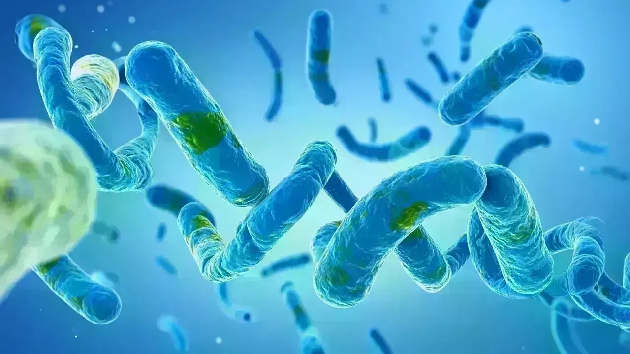 Emerging Infectious Diseases: A Global Health Focus Amid Rising Risks