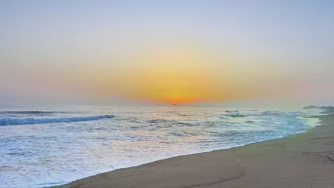 Historic Ocean Treaty Ratified: Protecting Our Planet's High Seas