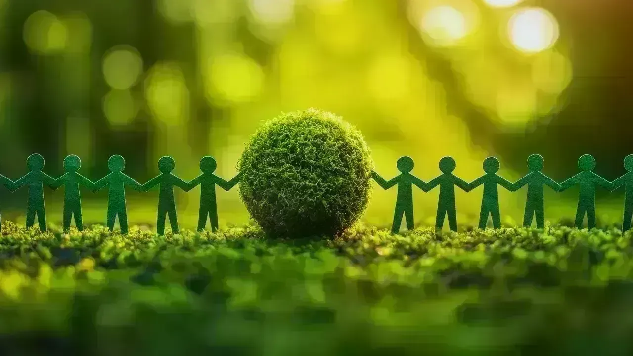 The Surge in Environmental Awareness and Its Impact on Daily Life