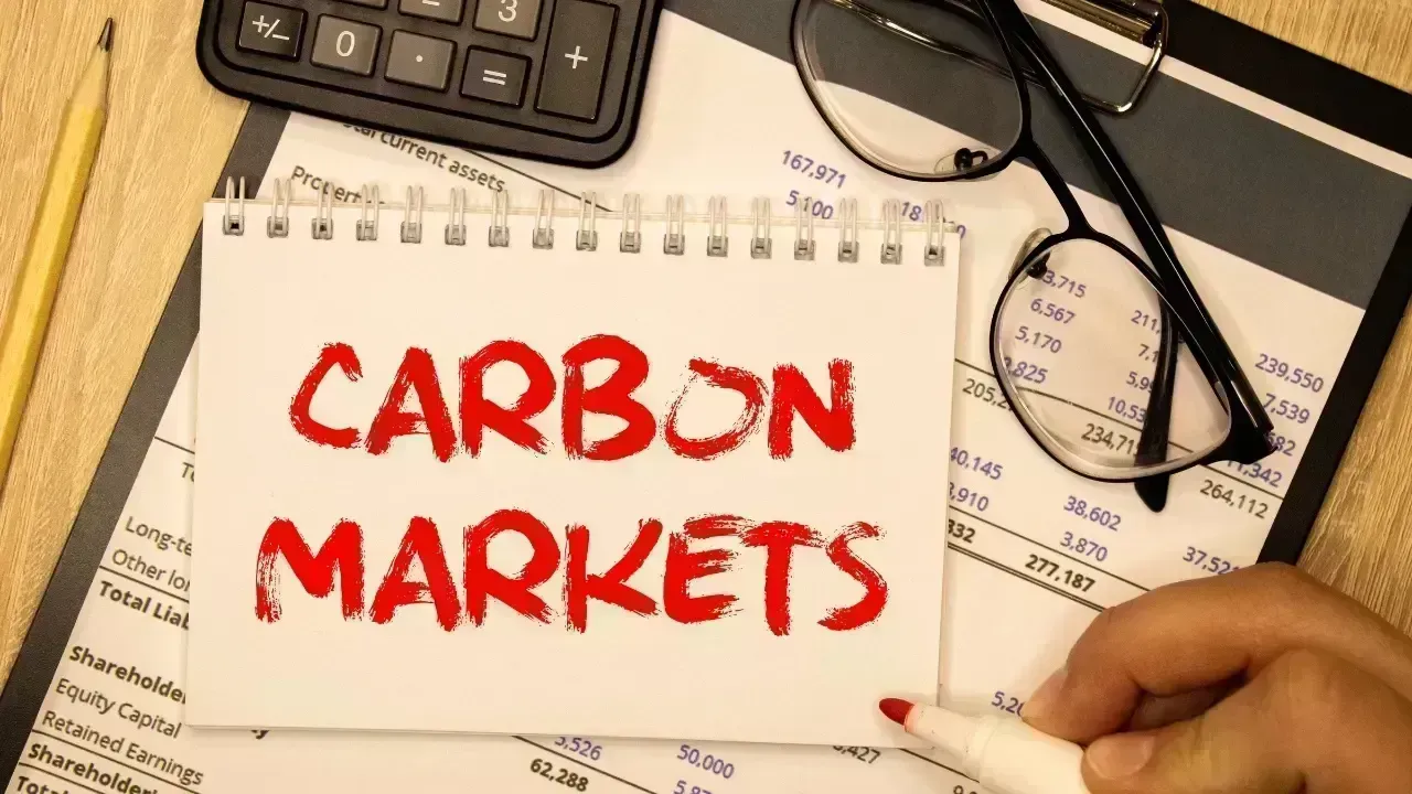 The Rising Importance of Carbon Markets in Global Climate Policy