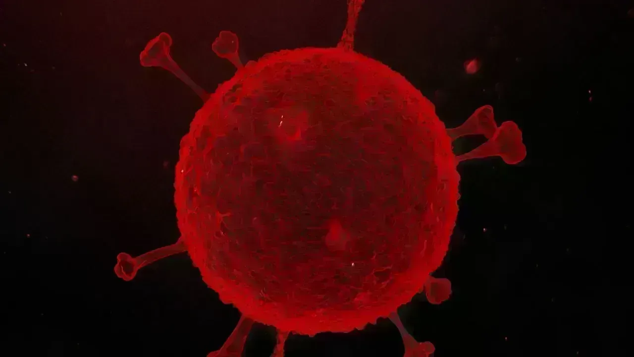 Foshan School Suffers Norovirus Outbreak with 103 Students Affected