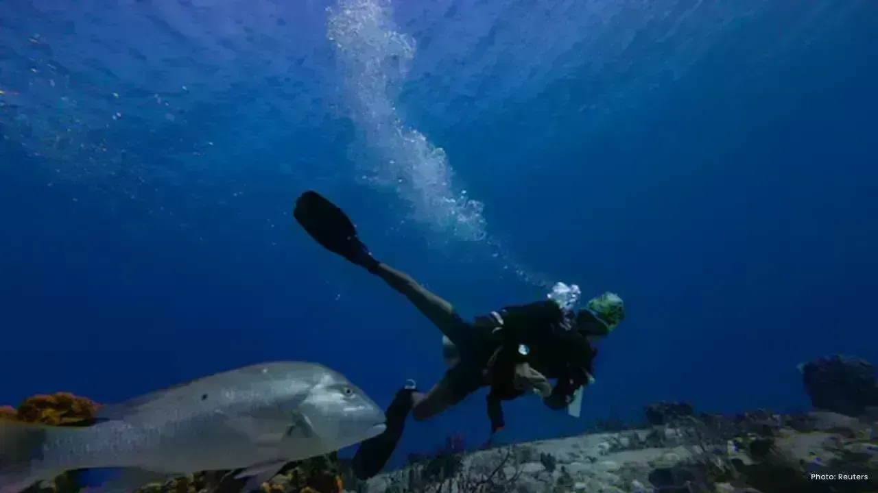 UN Biodiversity Treaty Comes Into Force, Aims to Protect 30% of Oceans by 2030