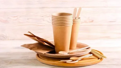 Global Innovations in Plastic Alternatives: Bioplastics, Fiber, and Eco-Friendly Materials