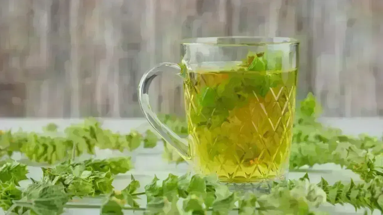 7 Compelling Benefits of Starting Your Day with Holy Basil Water