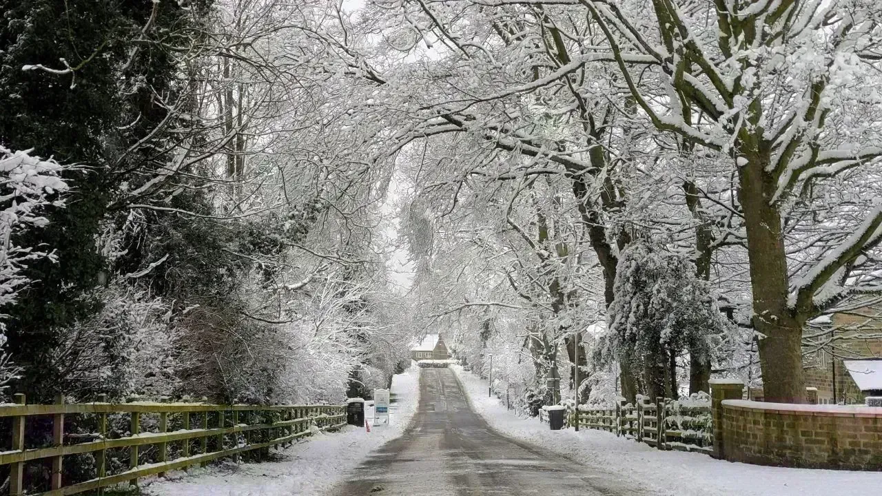 Severe Winter Storm Claims 10 Lives and Causes Outages Across the US