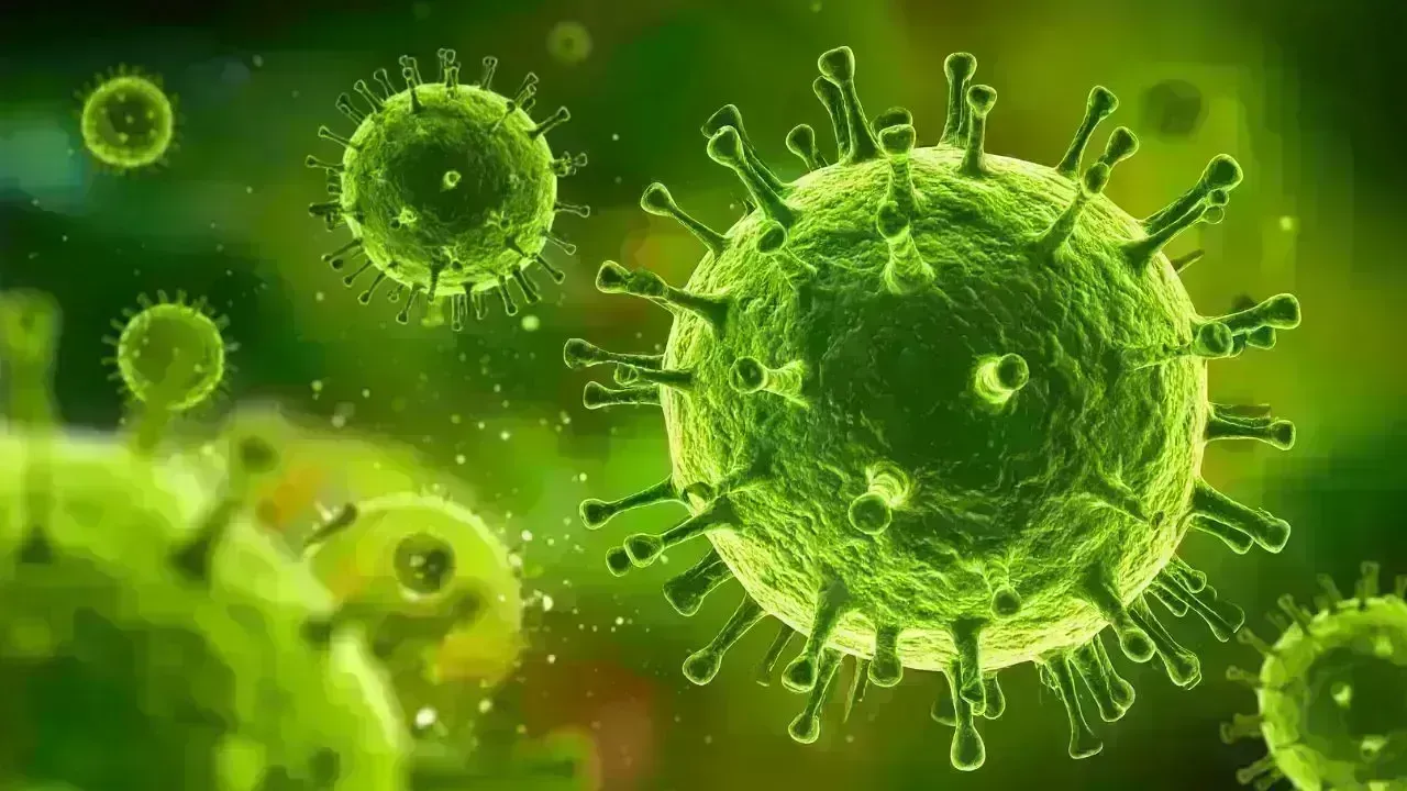 Nipah Virus Outbreak in West Bengal Triggers Health Alerts Across Asia