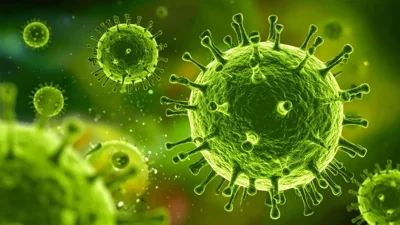 Nipah Virus Outbreak in West Bengal Triggers Health Alerts Across Asia