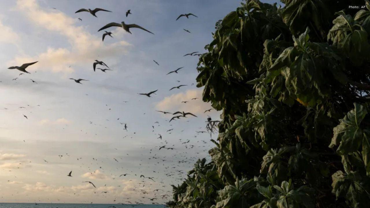 US Sanctions Pacific Island Leaders, Citing Corruption and China Influence