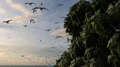 US Sanctions Pacific Island Leaders, Citing Corruption and China Influence