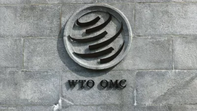 WTO Reform Talks in Cameroon Face Deep Divisions Among Nations