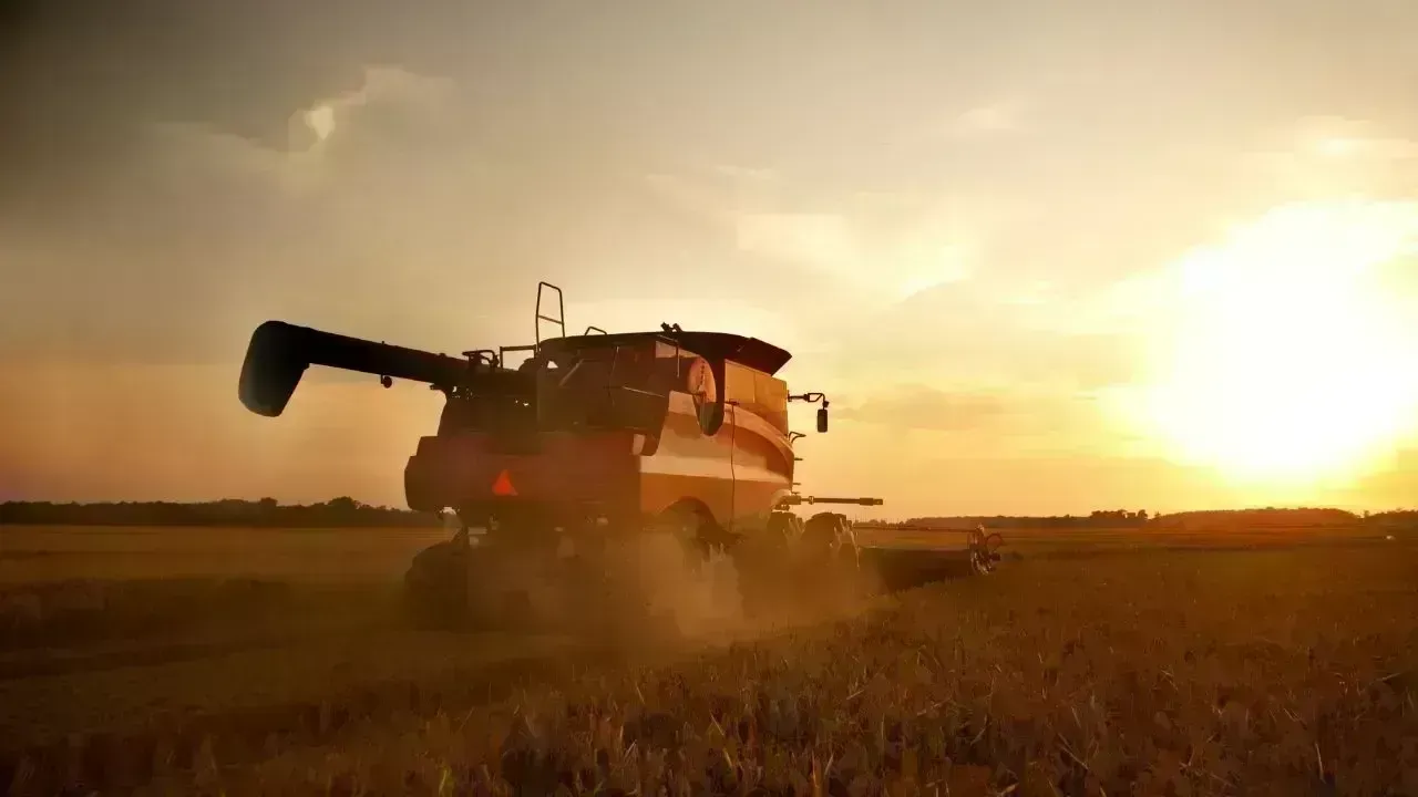 Harvest Season Kicks Off for Wheat in Al Najd, Dhofar