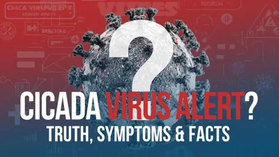 Understanding the Cicada Virus: Is It a New COVID-19 Variant? Symptoms and Remedies