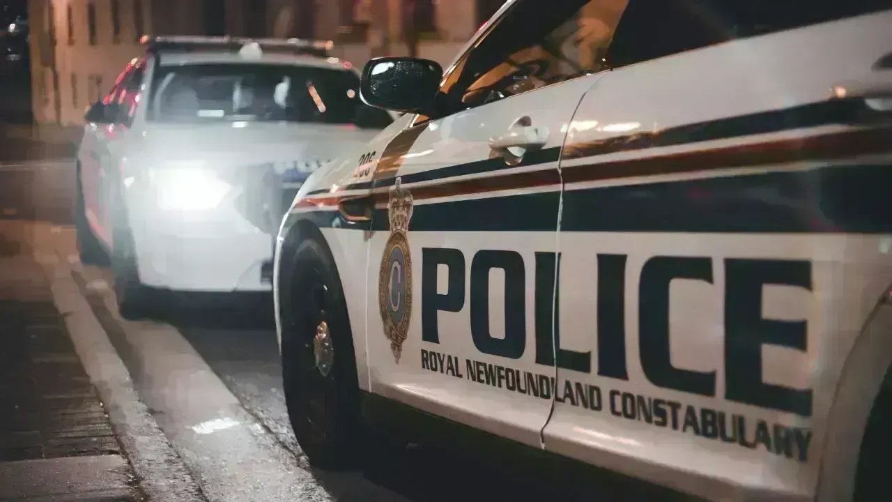 Fatal Pedestrian Accident Near Belleville Highway