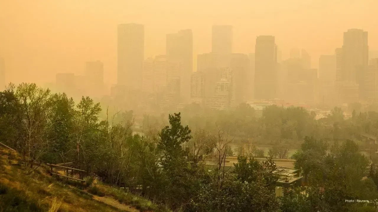 Windstorm Hits Calgary: Power Lines Down and Trees Toppled