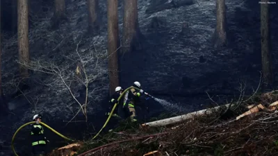 Japan Wildfires 2026: Iwate Blazes Force Thousands to Evacuate