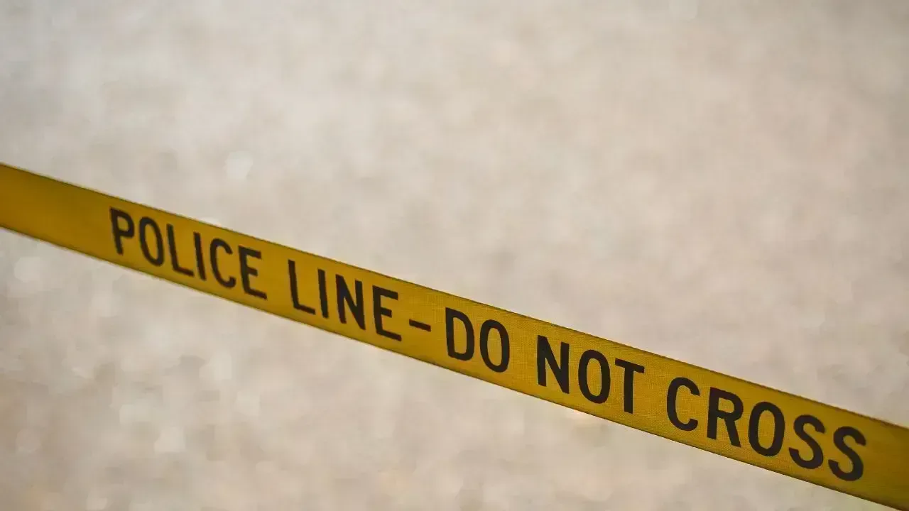 Stabbing Fatality Reported in Montreal's Mount Royal Park