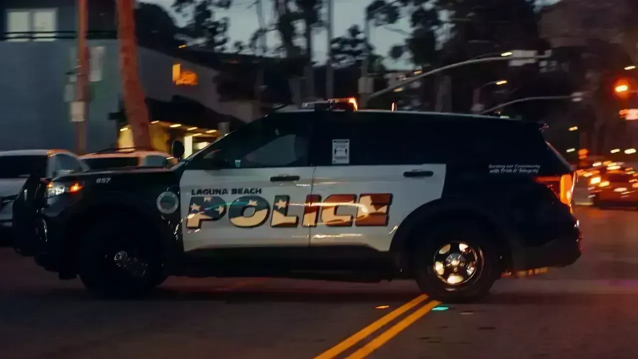 Tragic Death of OPP Officer in Highway 401 Incident