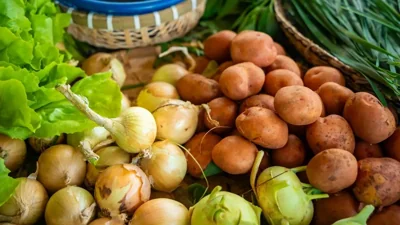 Lebap Farmers Anticipate Bountiful Harvests