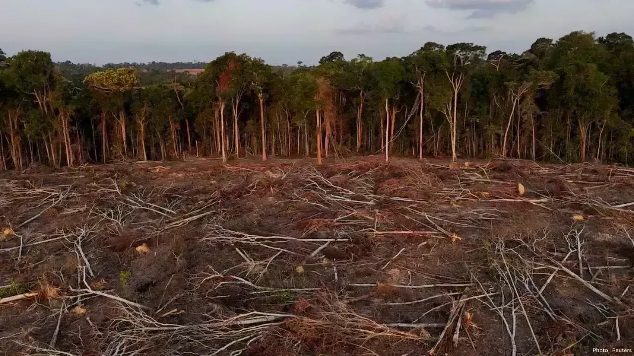 Tropical Forest Loss Falls in 2025 After Record High, But Global Deforestation Crisis Continues