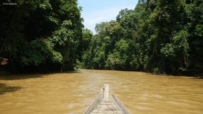 Sungai Muda Water Levels Stabilize Following Recent Rainfall