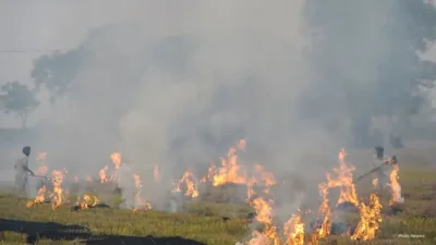 Edmonton Intensifies Fire Safety Protocols Following Grassfire Incidents