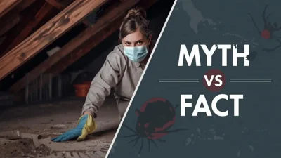 Understanding Hantavirus: Debunking 7 Common Myths